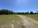 Expansive green lawn with a charming log cabin home in the background at 6935 Hickorynut Ln, Ravenel, SC 29470