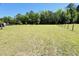 Expansive green lawn with distant treeline on clear, sunny day at 6935 Hickorynut Ln, Ravenel, SC 29470