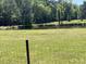 View of a serene pond bordered by lush trees and green grass at 6935 Hickorynut Ln, Ravenel, SC 29470