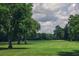 Scenic golf course with mature trees, lush green fairways, and a tranquil atmosphere at 9428 Sweep Dr, Summerville, SC 29485