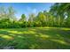 Expansive backyard featuring a lush, green lawn perfect for outdoor activities and relaxation at 11341 Cottageville Hwy, Cottageville, SC 29435