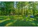 Lush backyard featuring mature trees and greenery, providing a serene and private outdoor space at 11341 Cottageville Hwy, Cottageville, SC 29435
