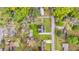 Overhead shot of a neighborhood with neatly kept lawns and mature trees at 1239 Old Orchard Rd, Charleston, SC 29412
