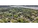 Scenic aerial view of a neighborhood nestled near a body of water and lush greenery at 1239 Old Orchard Rd, Charleston, SC 29412