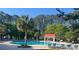 Beautiful community pool area with palm trees, lounge chairs, and a gazebo at 1362 Palm Cove Dr, Charleston, SC 29492