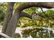 Close-up of a large tree with a hanging lantern, overlooking a tranquil waterfront view at 158 Mary Ellen Dr, Charleston, SC 29403