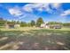 Expansive backyard with multiple structures and mature trees, offering ample space and privacy at 208 Mini Farm Rd, Bonneau, SC 29431