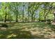 Expansive, tree-lined backyard with a well-manicured lawn and a glimpse of the patio seating area at 23 Hunters Forest Dr, Charleston, SC 29414