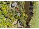 High-angle photo featuring an estate situated near the lagoon and golf course, among mature trees at 2455 The Bent Twig, Seabrook Island, SC 29455
