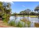 Picturesque scenery with a clear pond and mature trees, providing a tranquil and natural landscape at 2455 The Bent Twig, Seabrook Island, SC 29455