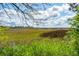 Scenic marsh view through blossoming trees; a serene and natural landscape at 3107 S Shore Dr, Charleston, SC 29407