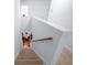 Carpeted stairway with wooden handrail leading to lower floor with dining room view at 613 Ravens Wood Rd, Summerville, SC 29486