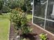 A screened porch surrounded by green grass, flowering bushes, and a flower bed at 104 Waccamaw Dr, Summerville, SC 29485