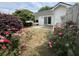 Private backyard featuring rose bushes, mature trees, and a patio ideal for outdoor enjoyment and relaxation at 1220 Apex Ln, Charleston, SC 29412