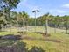 Outdoor tennis courts surrounded by mature trees, perfect for active recreation and sports enthusiasts at 1300 Park West Blvd # 101, Mount Pleasant, SC 29466