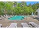 Community pool with lounge chairs and umbrellas, surrounded by mature trees and well kept grounds at 131 Buchanan Cir, Goose Creek, SC 29445