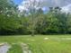 Large, grassy backyard surrounded by trees, perfect for outdoor activities at 136 Gailmoor Dr, Ladson, SC 29456