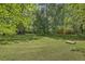 Spacious backyard featuring a large grassy area and mature trees, perfect for outdoor activities at 141 Bridgecreek Dr, Goose Creek, SC 29445