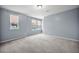 Spacious bedroom featuring neutral paint, plush carpeting, and natural light from two windows at 145 Basket Grass Ln, Summerville, SC 29486