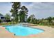 Refreshing swimming pool with a tanning ledge surrounded by lush landscaping, perfect for relaxation at 2732 Canebreak Ln, Mount Pleasant, SC 29466