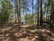 Lush backyard with mature trees and a glimpse of the waterfront at 3017 Ashburton Way, Mount Pleasant, SC 29466