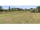 A wide open lush backyard landscape with well maintained turf and shrubs at 315 Fish Creek Ct, Summerville, SC 29486