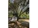 View of the backyard featuring a mature tree, a shed, a wooden fence, and a concrete patio at 3342 Habitat Blvd Blvd, Johns Island, SC 29455