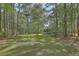 A large grassy backyard surrounded by tall trees, providing privacy and space for outdoor activities at 5950 Lowell Reed Rd, Ravenel, SC 29470