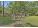 Spacious fenced dog run offers pets a safe outdoor space, surrounded by lush greenery and tall trees at 5950 Lowell Reed Rd, Ravenel, SC 29470