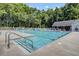 Community pool with clean blue water, surrounded by lounge chairs and shade, providing a relaxing atmosphere at 8781 Laurel Grove Ln, North Charleston, SC 29420