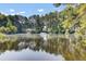 Scenic view of the community pond with a fountain, surrounded by trees and lush greenery, enhancing the natural beauty at 8781 Laurel Grove Ln, North Charleston, SC 29420