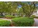 Neighborhood street view with mature landscaping including large tree, shrubs, and green lawn at 1500 Trumpet Vine Ct, Mount Pleasant, SC 29464