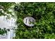 Charming house number '154' nestled among jasmine vines with the home's facade visible in the background at 154 Wentworth St, Charleston, SC 29401