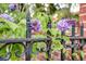 Close-up of an ornate iron fence featuring climbing wisteria blossoms, adding charm and curb appeal at 154 Wentworth St, Charleston, SC 29401