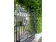 Ornate wrought iron gate with lush greenery offering a glimpse of the charming house beyond at 154 Wentworth St, Charleston, SC 29401