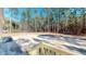 Expansive backyard with new deck and room for outdoor activities and relaxation at 1576 Pine Grove Rd, Ruffin, SC 29475