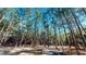 Secluded home site with mature landscaping and a sense of privacy at 1576 Pine Grove Rd, Ruffin, SC 29475