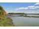 Picturesque water view with a pier, covered boat dock, and lush vegetation at 1637 Folly Creek Way # E-12, Charleston, SC 29412