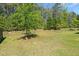 Backyard with patchy green grass, surrounded by various trees at 168 Keaton Brook Dr, Summerville, SC 29485