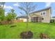 Spacious backyard with green lawn, young trees, and a screened porch at 206 Red Bluff St, Summerville, SC 29483