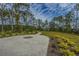 A winding path leads through lush landscaping, showcasing the community's scenic walking trails and outdoor spaces at 2282 Braided Ln, Mount Pleasant, SC 29466