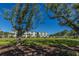 Beautiful lawns in a community of homes with a backdrop of shade trees and a clear blue sky at 2302 Hamlin Sound Cir, Mount Pleasant, SC 29466