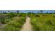 Winding nature trail through lush marshland, inviting residents to explore the beautiful natural surroundings at 2302 Hamlin Sound Cir, Mount Pleasant, SC 29466