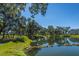 Scenic pond view surrounded by lush trees and manicured lawns, creating a serene community atmosphere at 2302 Hamlin Sound Cir, Mount Pleasant, SC 29466