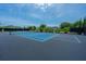 View of the community tennis court with a black fence, and landscaping in the background at 2302 Hamlin Sound Cir, Mount Pleasant, SC 29466