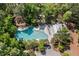 Aerial view of the community amenities, showcasing a luxurious pool, clubhouse, and playground area nestled among lush greenery at 3133 Cold Harbor Way, Charleston, SC 29414