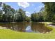Scenic pond offers tranquil views and creates a serene setting for relaxing and enjoying the natural landscape at 3133 Cold Harbor Way, Charleston, SC 29414