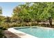 Stunning pool surrounded by lush greenery and mature trees, offering a private outdoor oasis at 333 W Confederate Cir, Charleston, SC 29407