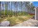 A view of a expansive backyard with a row of trees at 403 Fox Sparrow Ct, Summerville, SC 29486