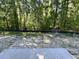 View of wooded backyard from concrete slab at 5031 Scow Ct, Summerville, SC 29485